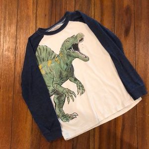 Carter’s Kids Boys Long Sleeve T-Shirt Blue/White Size 12